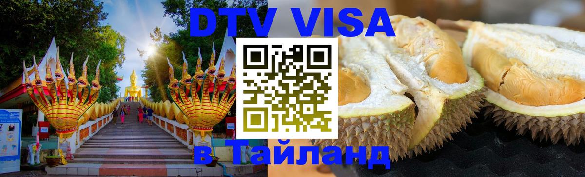 Оформление DTV визы под ключ: стоимость и тарифы, только загранпаспорт - 21.11.2025 